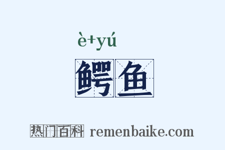 鳄鱼是什么意思的图片